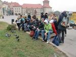 Die Attraktion am Krakauer Wawel – Tauben!
