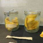 Geruchsproben, die die Stasi von ihren Bürgern vornahm und verwahrte.