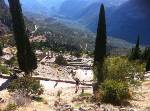 Delphi