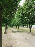 Der Parc von Saint Germain ist riesig!